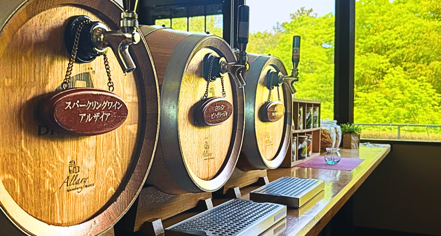 オールインクルーシブイメージ