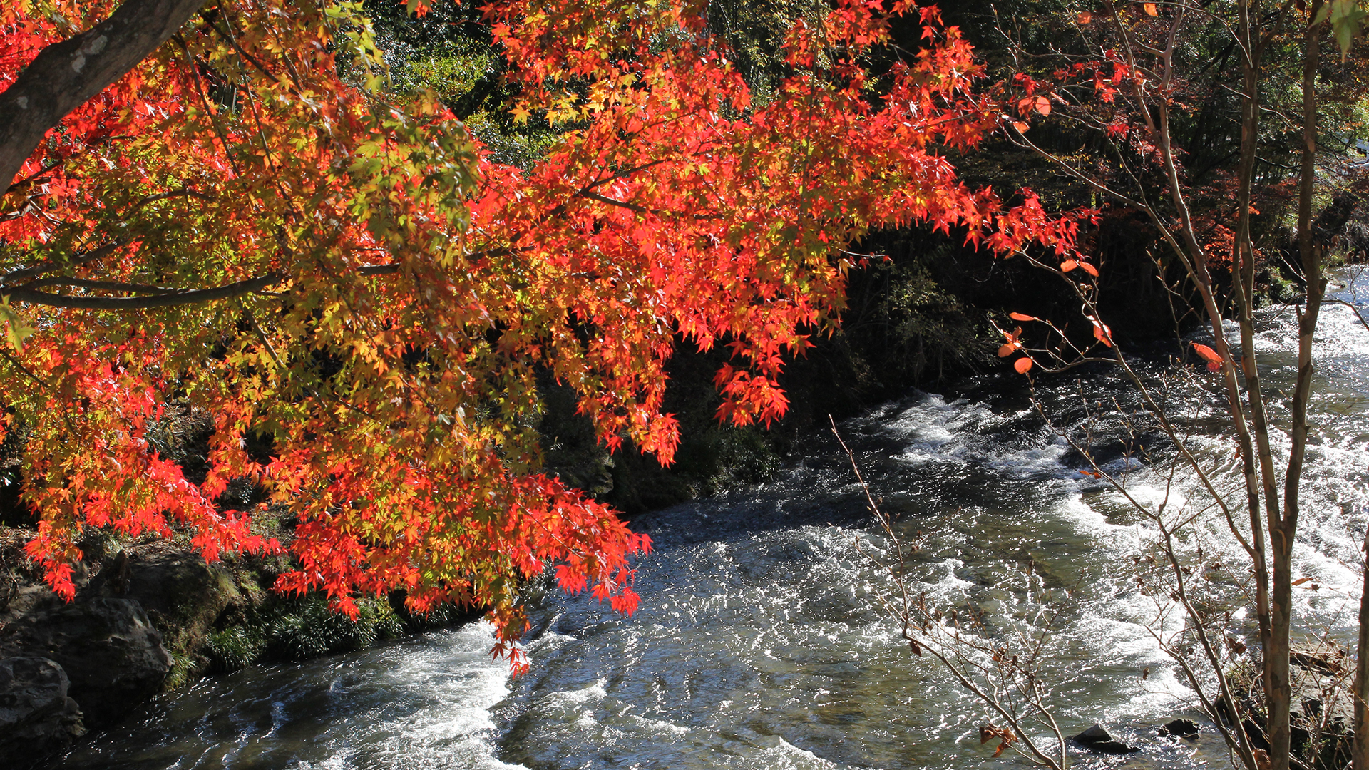 袋田温泉　思い出浪漫館