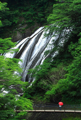 春：新緑の袋田の滝