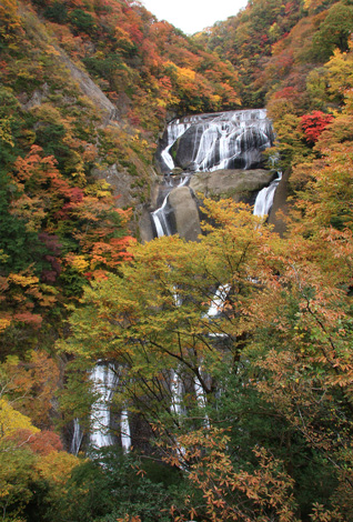 秋：紅葉の袋田の滝