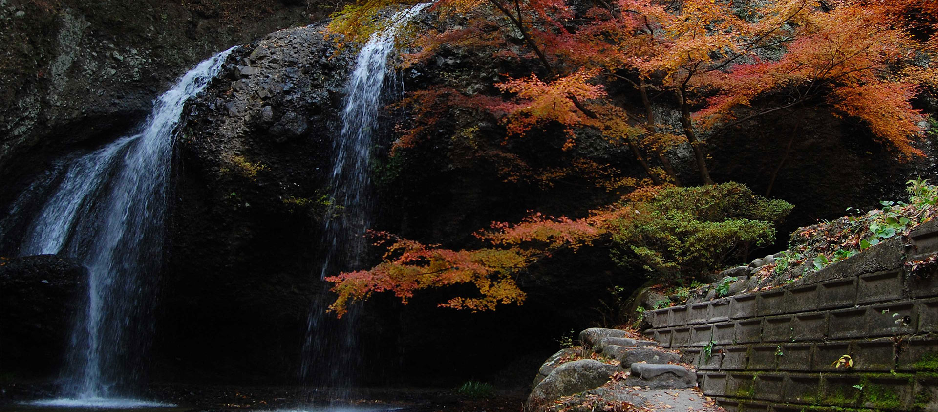 紅葉イメージ