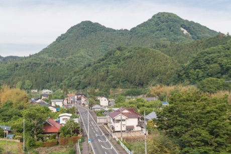 青い花畑で記念撮影をする二人