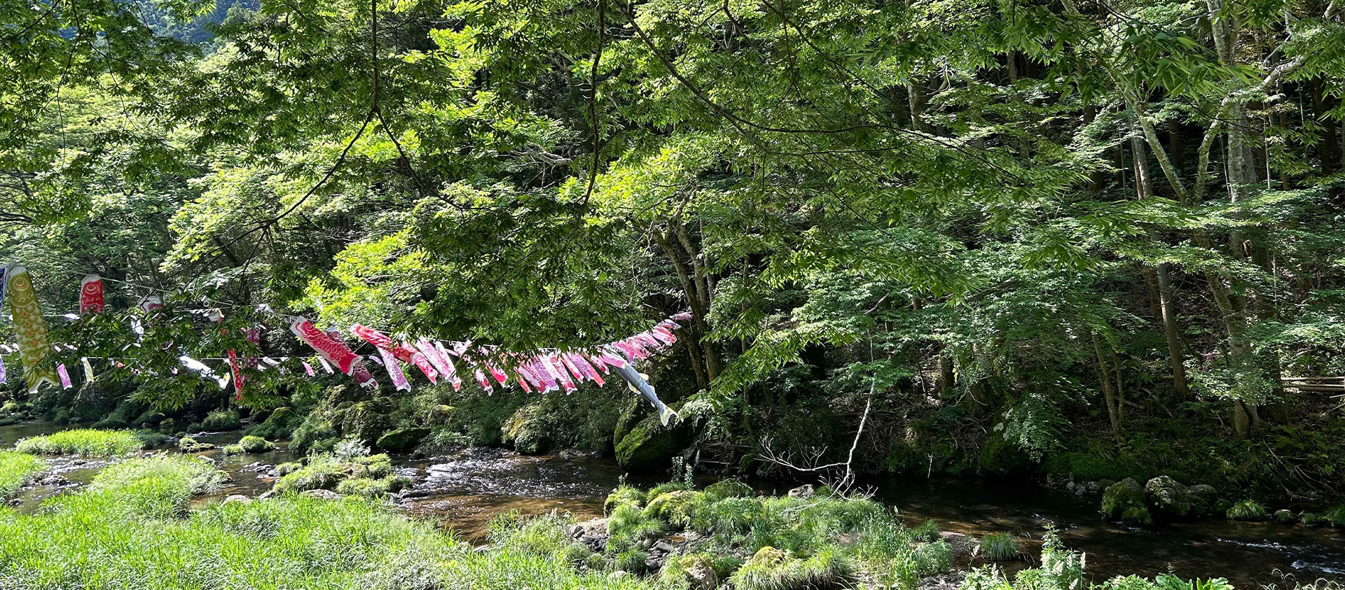 奥久慈大子の新緑イメージ