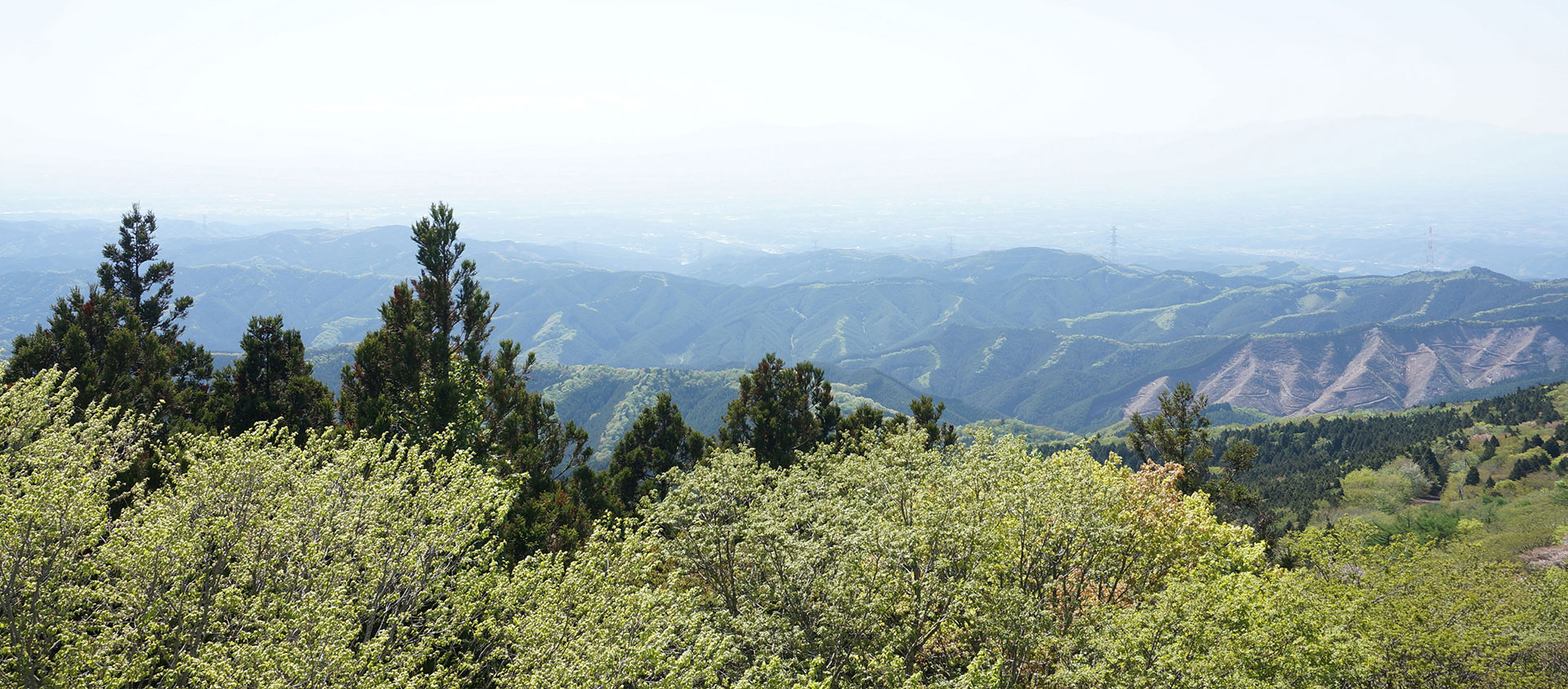 奥久慈大子の夏－八溝山