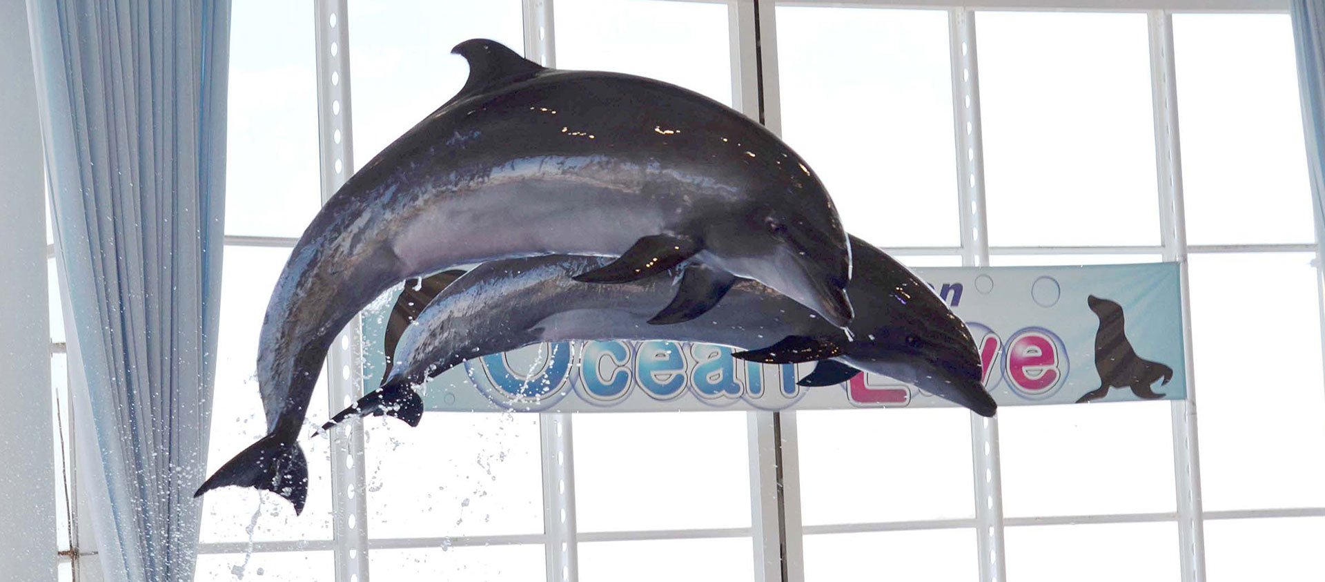 アクアワールド大洗水族館