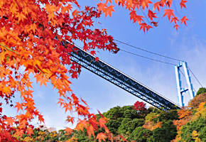 竜神大吊橋と紅葉